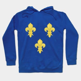 Three Fleur de lis (France) Hoodie